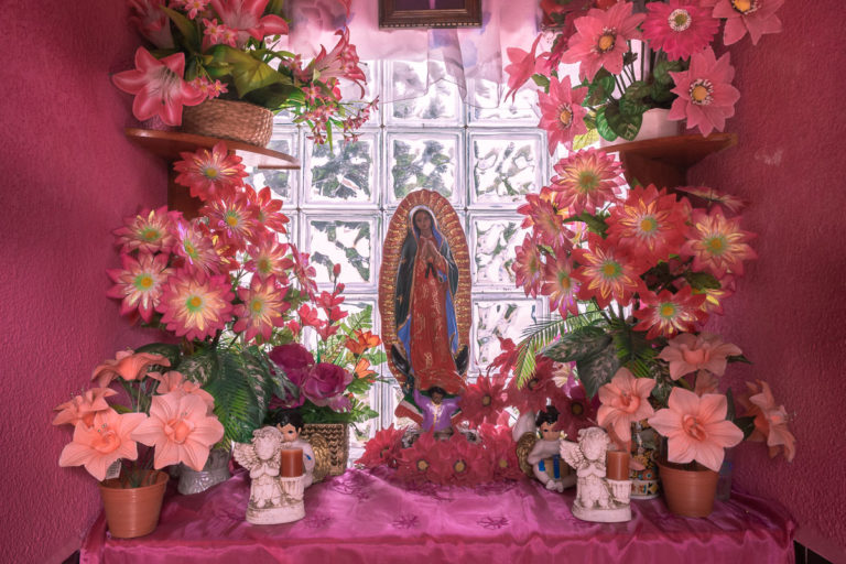 Pink Altar for the Virgin of Guadalupe