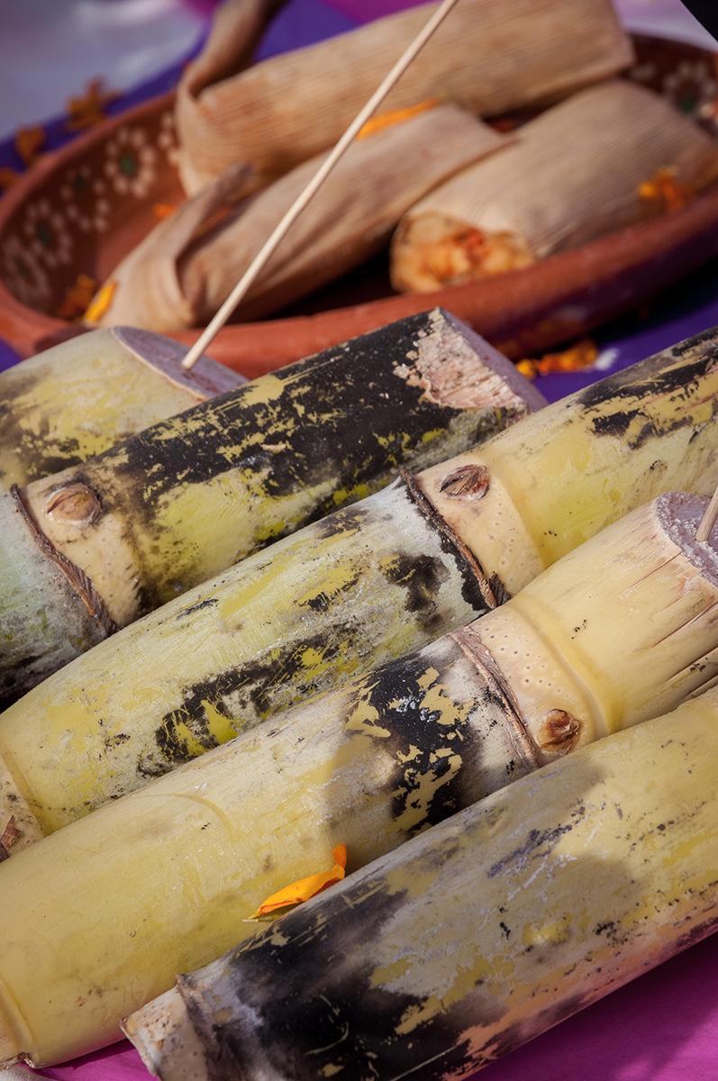 Sugarcane on the Day of the Dead