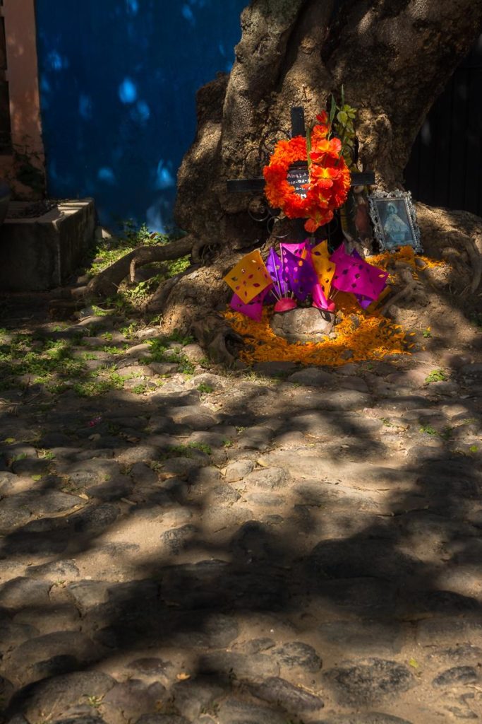 An altar under a tree on the side of the street on the Day of the Dead in Ajijic, Mexico.