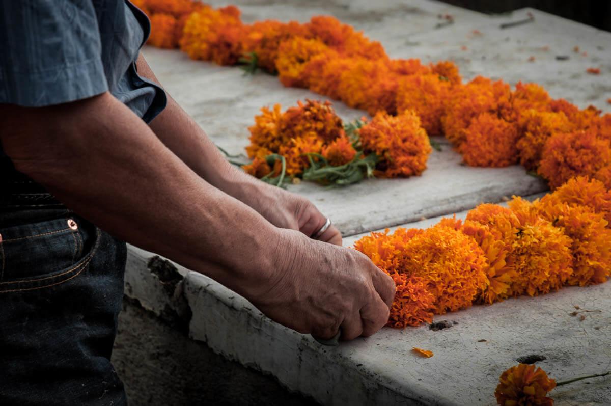 Graves are carefully cleaned and redecorated each year. The afternoons of November 1 and 2 are spent watering and putting fresh plants are put into the ground, repainting and constructing the altar. In this photo a man arranges marigolds on a grave in the cemetery in Ajijic, Jalisco. You start to see marigolds for sale everywhere in the weeks leading up to the Day of the Dead. Their sweet scent is said to help guide the dead to their altar on the night of November 2.