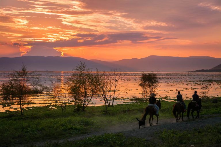 Lake Chapala Sunset and Horses
