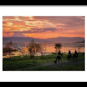 Framed print of horses along the shoreline at Lake Chapala