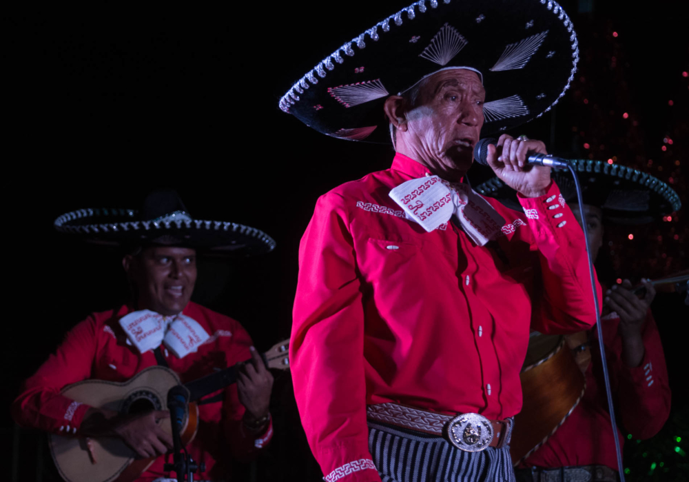 Tito Hinojosa performs a song in his mariachi group in Jalisco, Mexico.