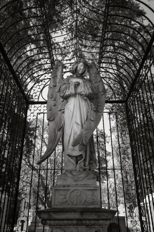 Cemetery Angel in Cage