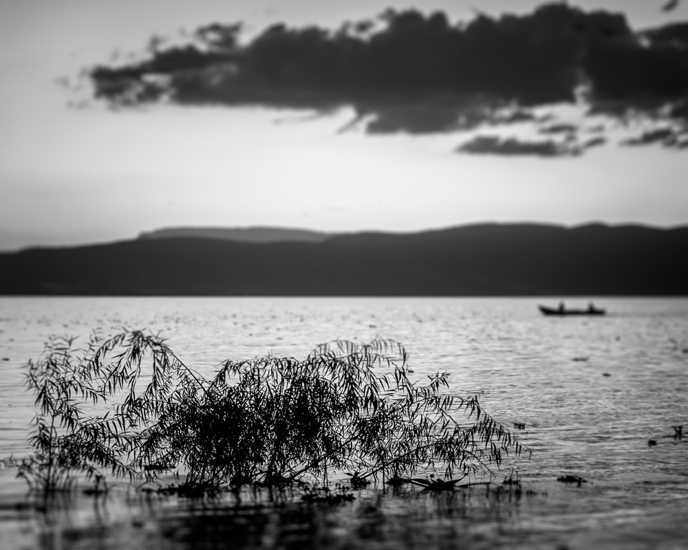 Lake Chapala, Mexico.