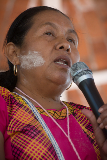 Marichuy Patricio Martínez speaks during an event in Mezcala, Jalisco, to collect signatures for her presidential campaign. Martínez is the first indigenous woman in Mexico to run for president.