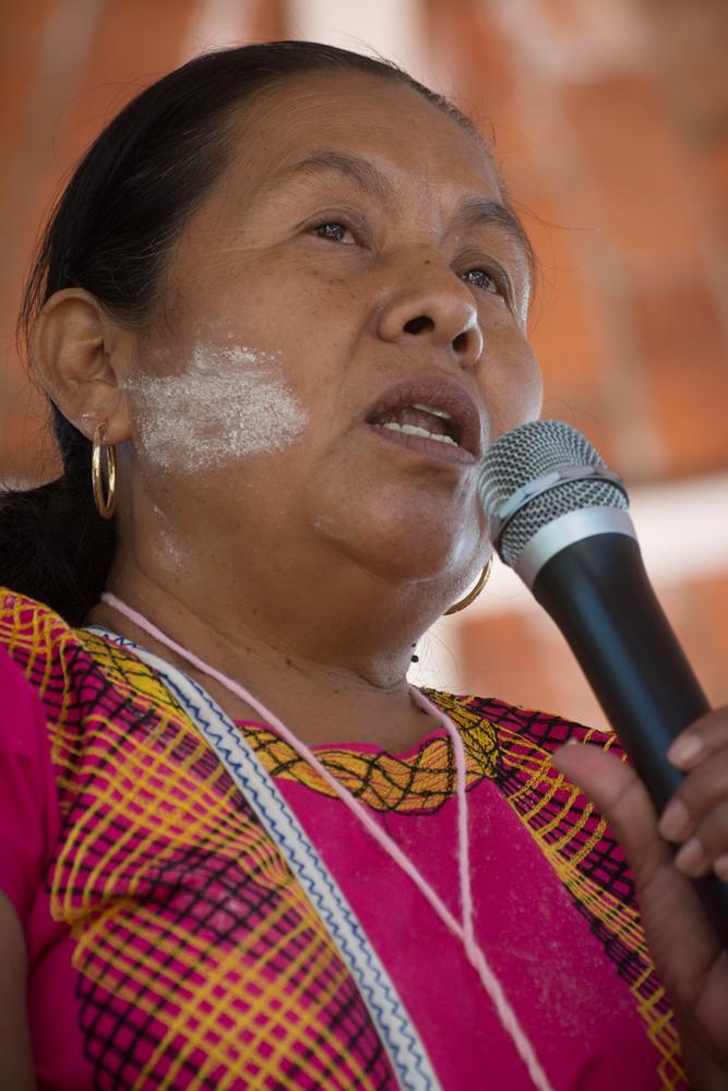 Marichuy Patricio Martínez speaks during an event in Mezcala, Jalisco, to collect signatures for her presidential campaign. Martínez is the first indigenous woman in Mexico to run for president.
