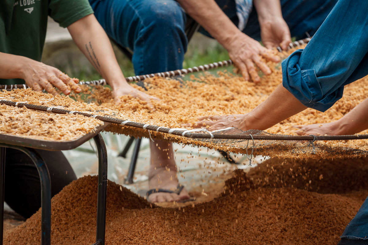 It can take a half an hour to sift a significant amount of sawdust before it's ready to be dyed.